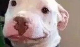 微信公众号吃瓜娱乐圈,揭秘明星幕后故事