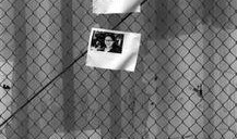 新闻诡异爆料大全视频,惊悚事件背后的真相